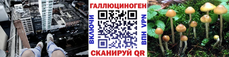 Галлюциногенные грибы прущие грибы  mega   Болхов 